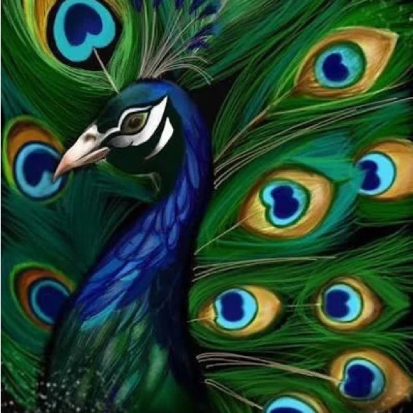 peacockpaisley